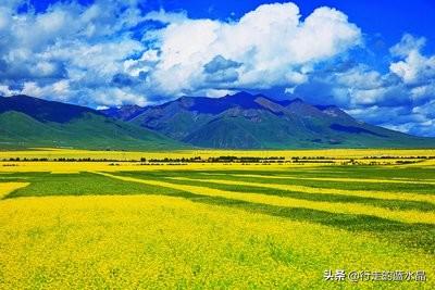 20221105115132_16781 20221105115132_16781