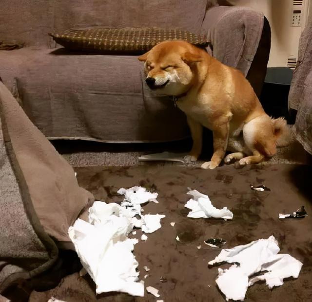 20221105123648_58879