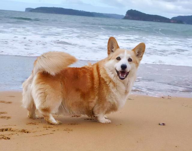 20221105123648_89367 20221105123648_89367