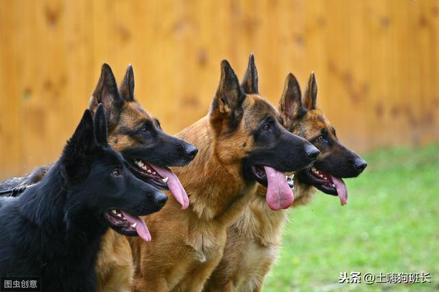 20221105124830_31546