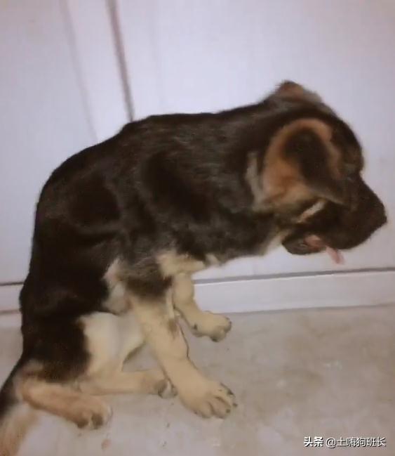 20221105124831_28660