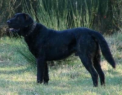 20221105125251_63593 20221105125251_63593