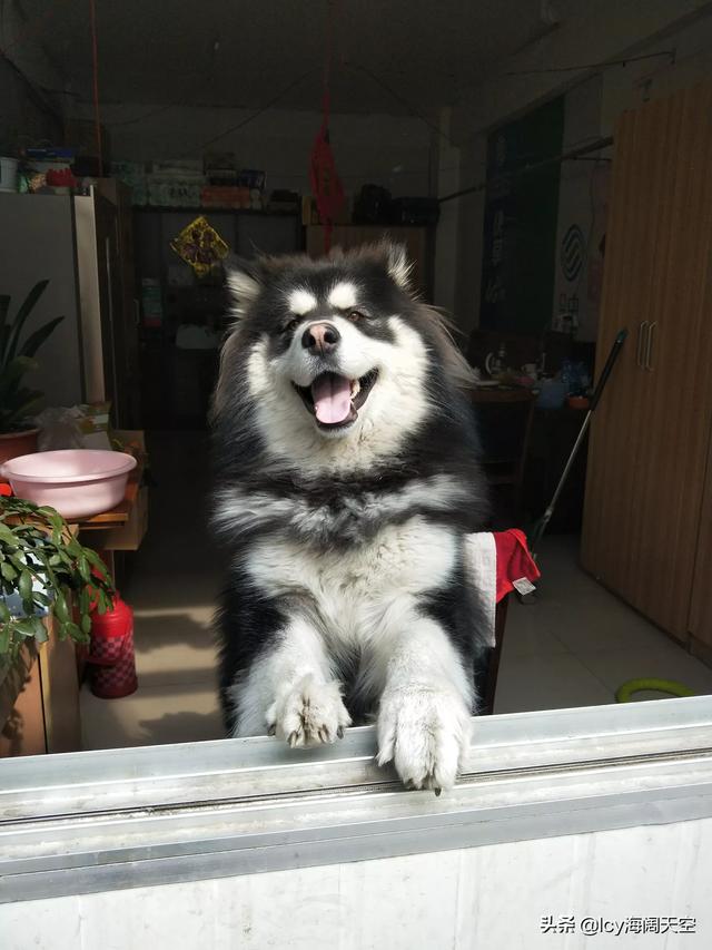 20221105130557_60047 20221105130557_60047