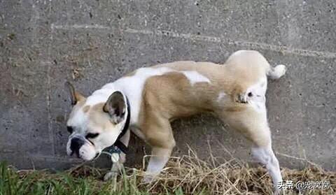 20221105130558_14427 20221105130558_14427