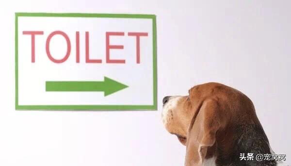 20221105130558_71972 20221105130558_71972