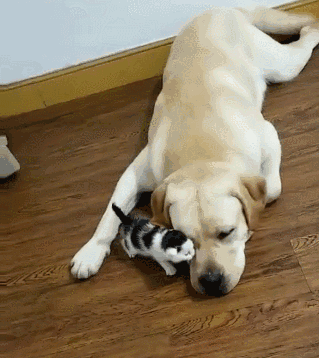 20221105135713_34560