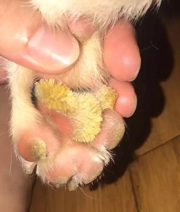 20221105135826_14748