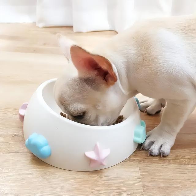 20221105142953_60831 20221105142953_60831