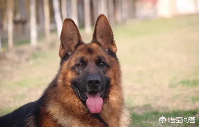 20221105152202_89145 20221105152202_89145