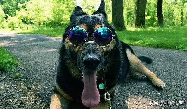 20221105152404_86165