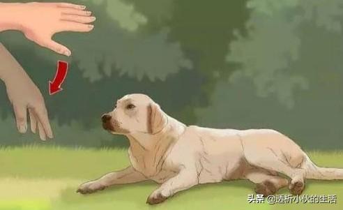 20221105153137_78003 20221105153137_78003