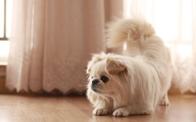 20221105191131_53018 20221105191131_53018