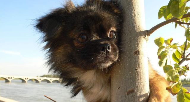 20221105191132_17584 20221105191132_17584