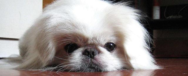 20221105191132_66139 20221105191132_66139