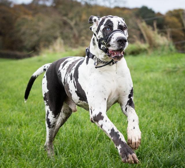 20221105191906_36677 20221105191906_36677