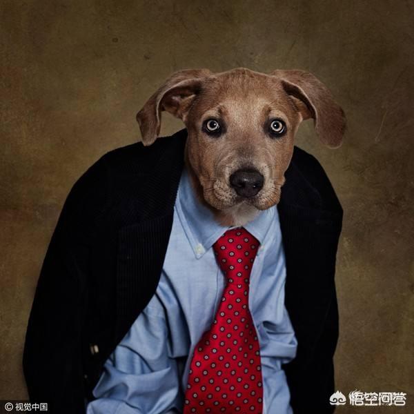 20221105195806_83252