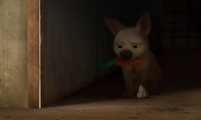 20221106083945_20454 20221106083945_20454