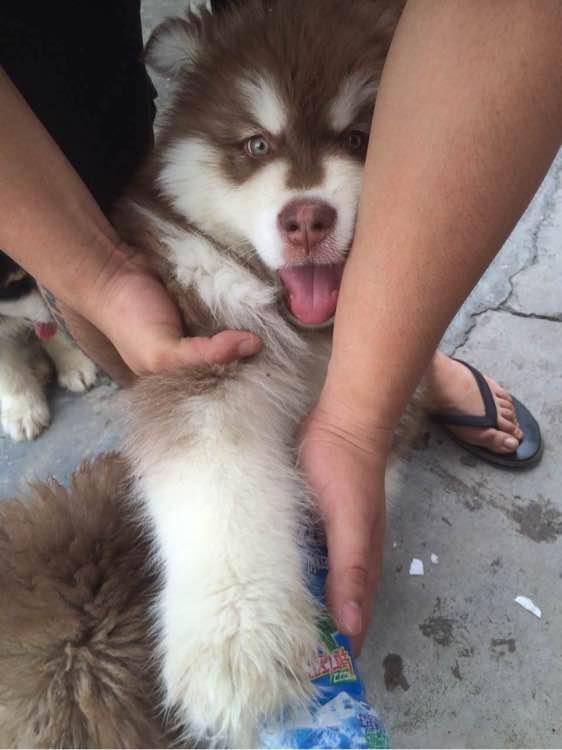 20221106090220_12256