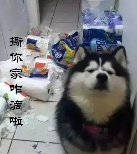 20221106090220_51538