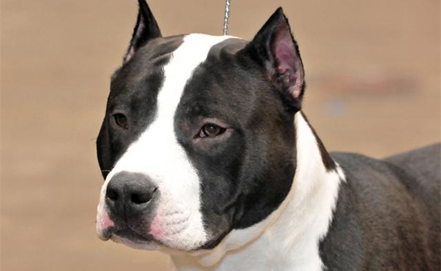 20221106094333_99935 20221106094333_99935