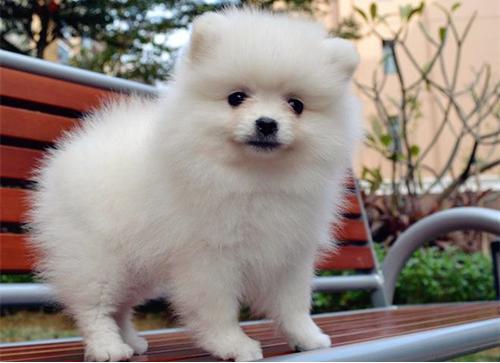 20221106105320_46521