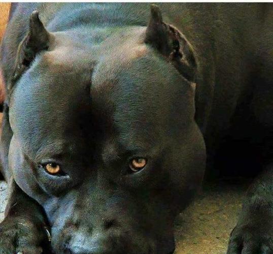 20221106110630_13473