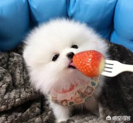 20221106112443_32909