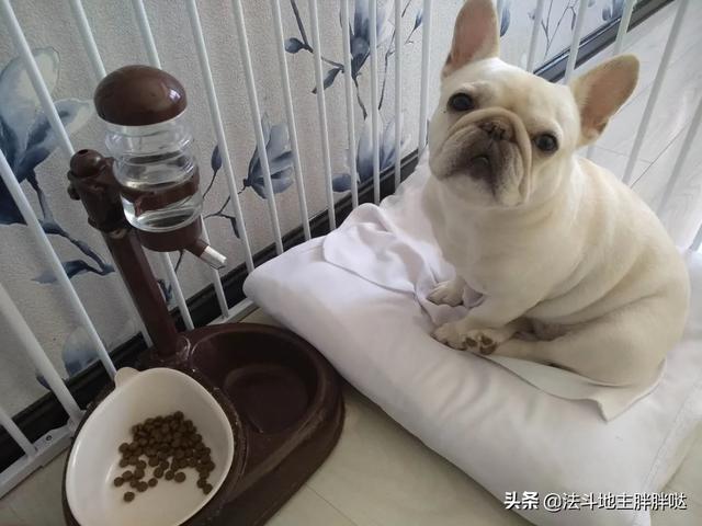 20221106115253_85211