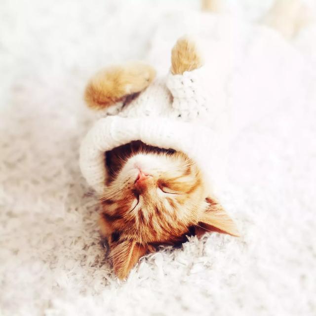 20221106125300_22556 20221106125300_22556