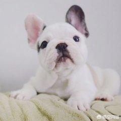 20221106125300_61416 20221106125300_61416