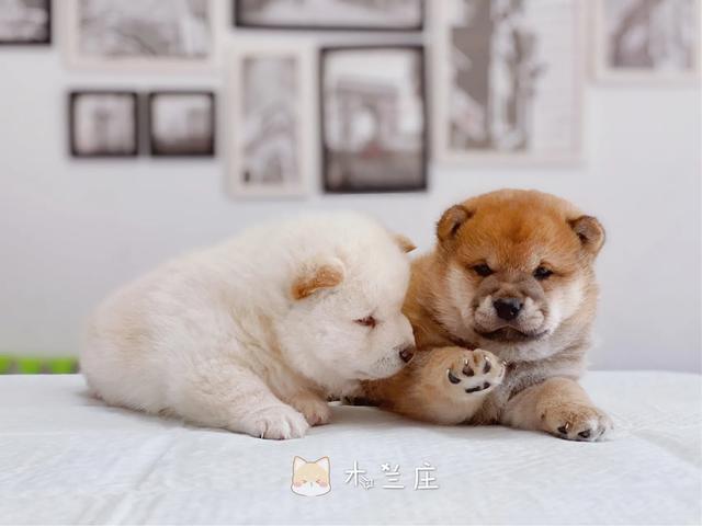 20221106144806_91596