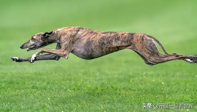 20221106152220_89136 20221106152220_89136