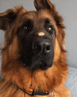 20221106153335_10184