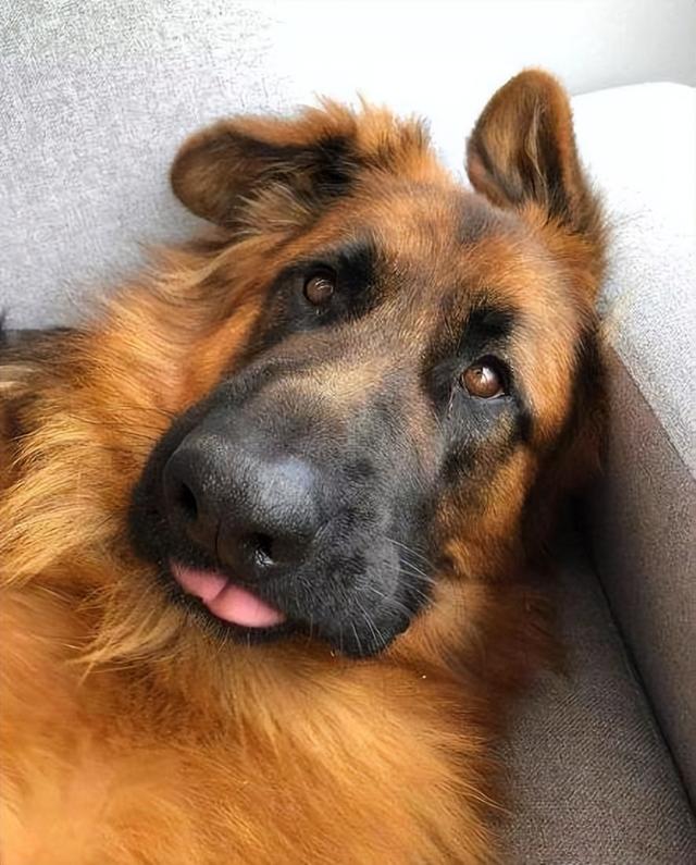 20221106153335_74859