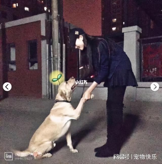 20221106155428_66465 20221106155428_66465