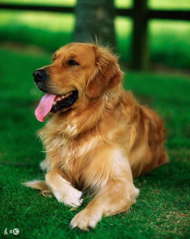 20221106155735_87609 20221106155735_87609