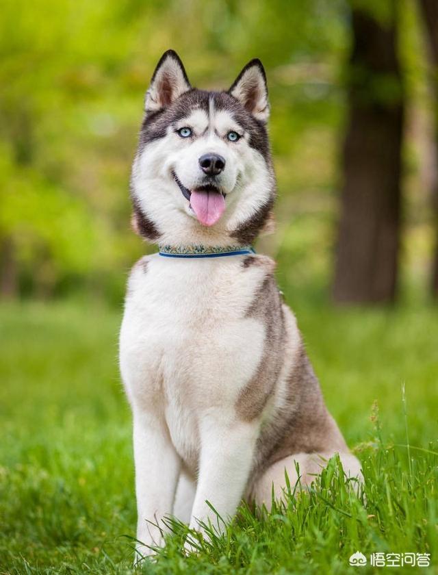 20221106160422_66593