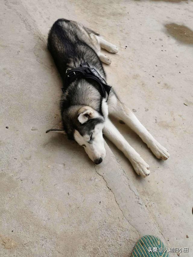 20221106162052_20276