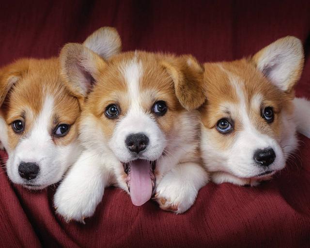 20221106165902_16889