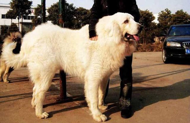 20221106165902_64530