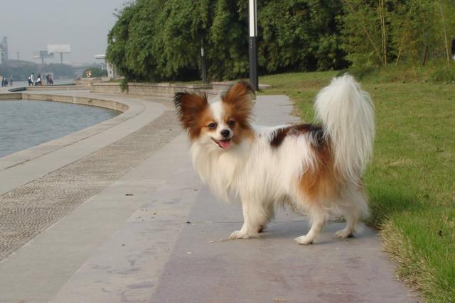 20221106180323_26733