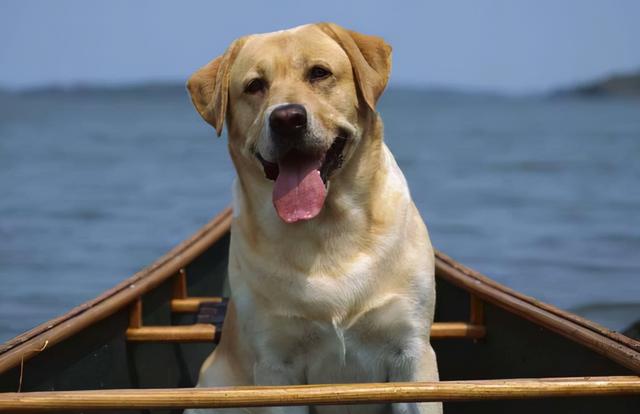 20221106180330_99628