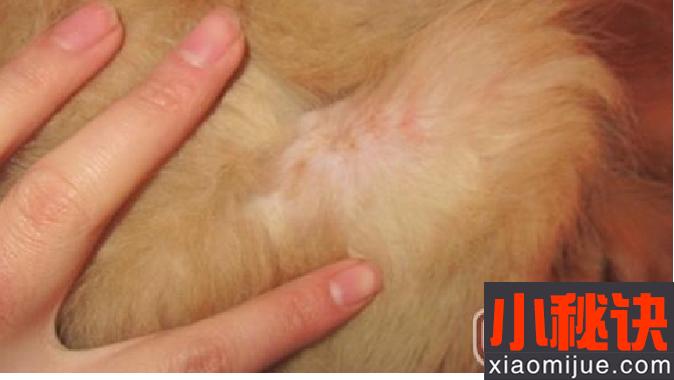 20221106183214_77087 20221106183214_77087