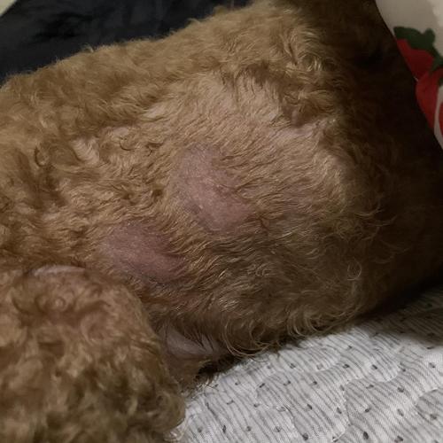 20221106183215_63346 20221106183215_63346