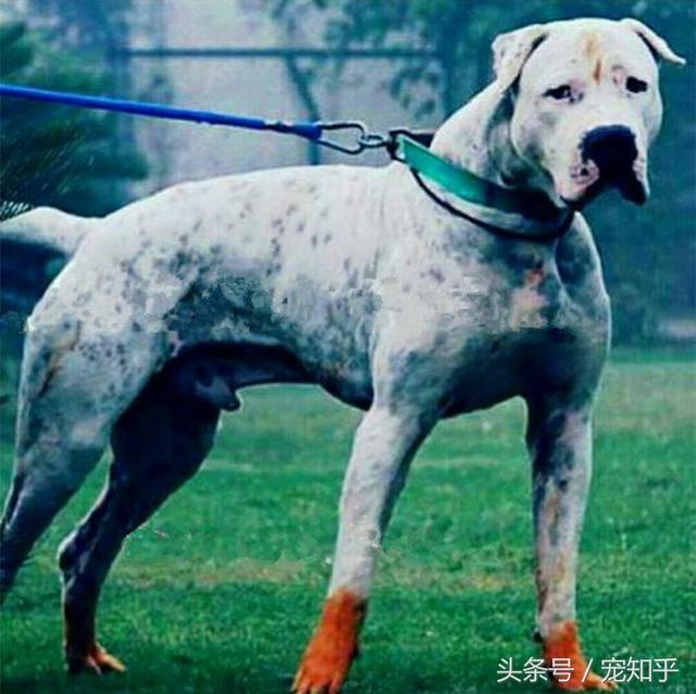 20221106191015_16083