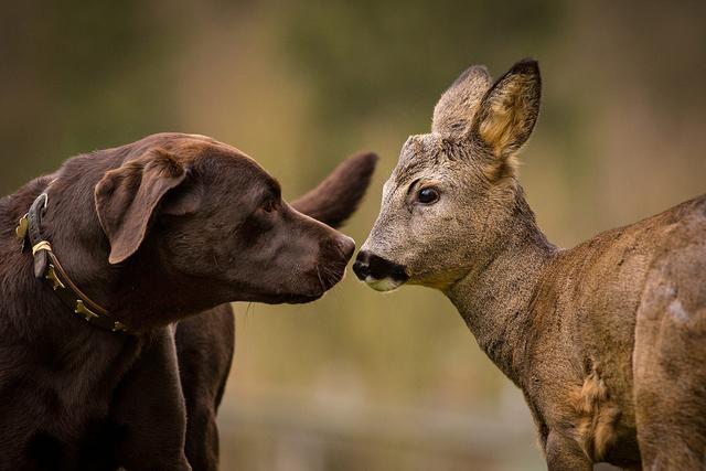 20221106191834_28275 20221106191834_28275