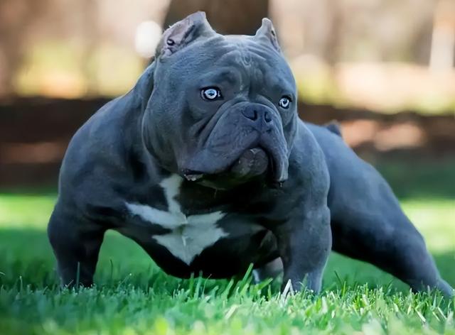 20221106195937_25142