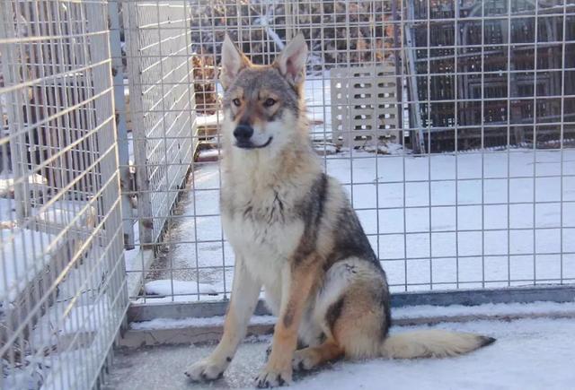 20221107093824_98940 20221107093824_98940