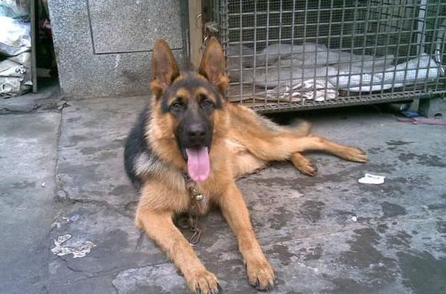 20221107114831_12469