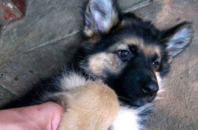 20221107114832_86874